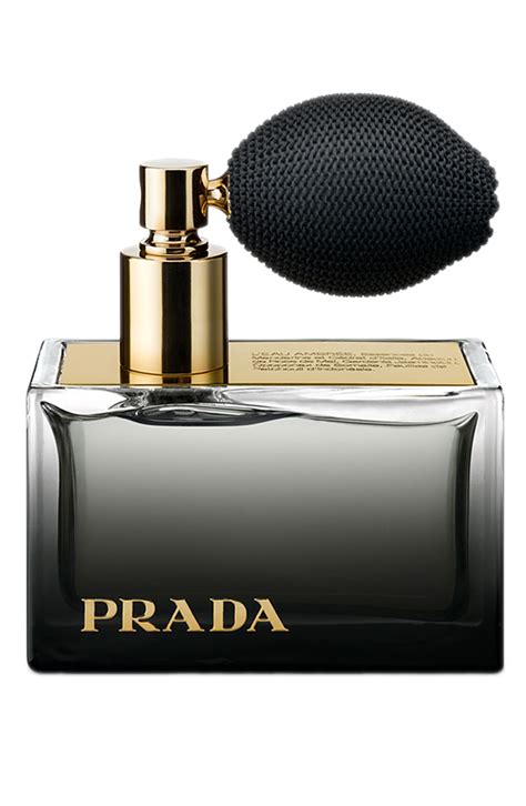 prada ambree perfume.